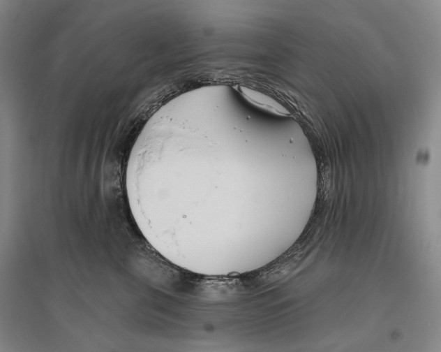 X0000096450571200802211237