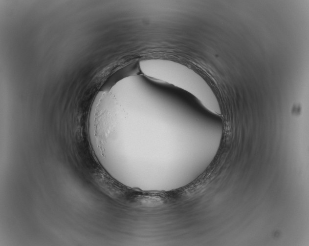 X0000096450572200802211237