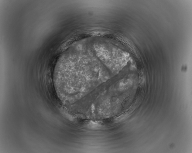 X0000096450573200802211237