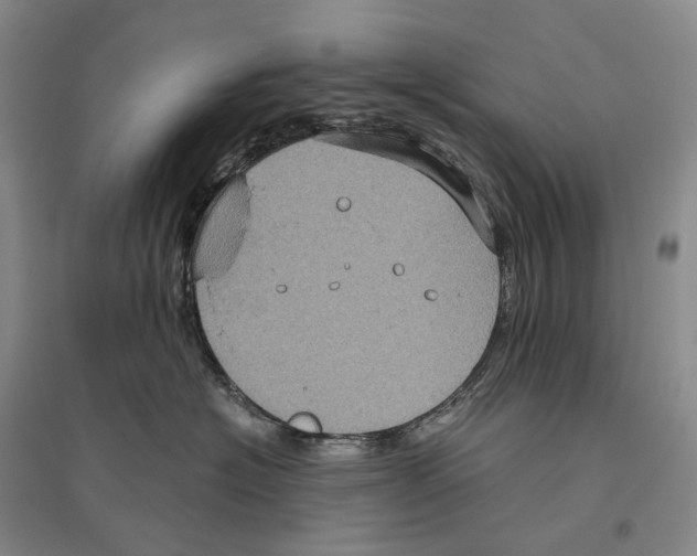 X0000096450574200802211237