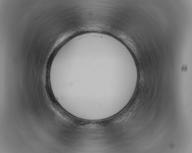 X0000096450578200802211236