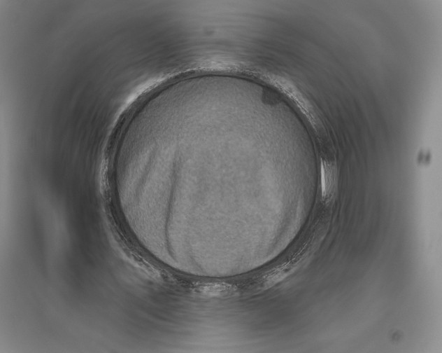 X0000096450579200802211236