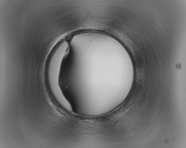 X0000096450580200802211236