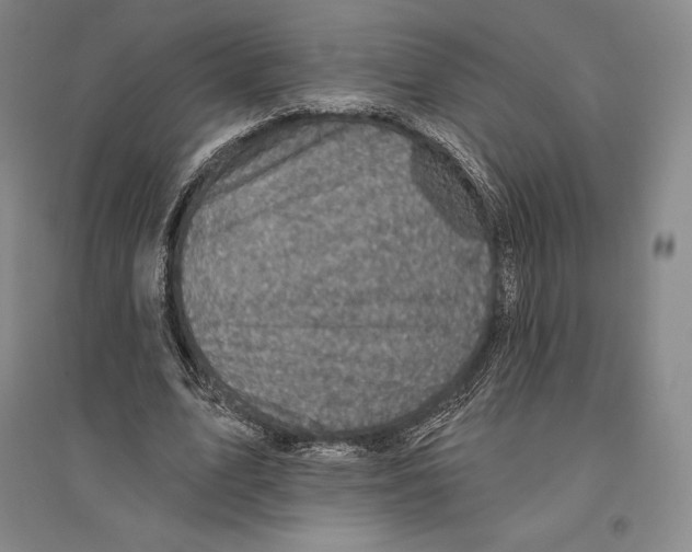 X0000096450583200802211236