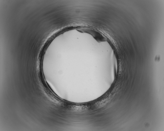 X0000096450584200802211236