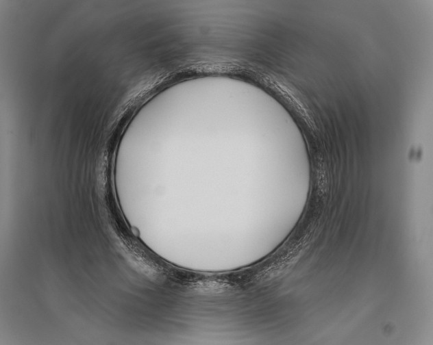 X0000096450586200802211236