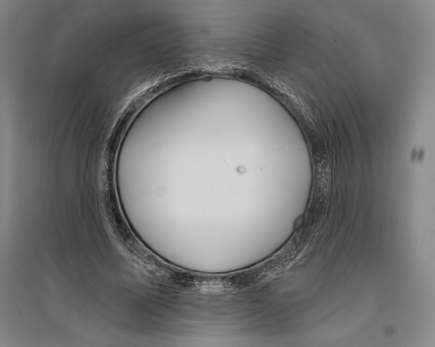 X0000096450587200802211236