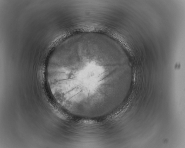 X0000096450590200802211236