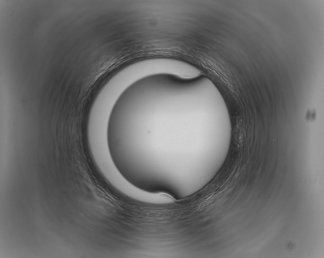 X0000096450595200802211236