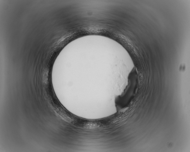 X0000096450596200802211236