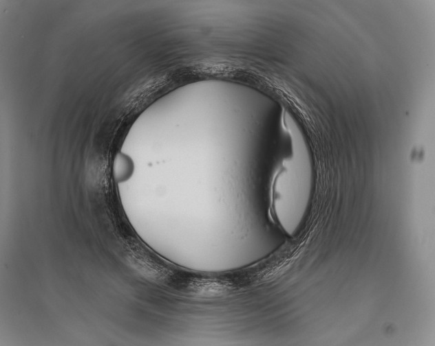 X0000096450597200802211236