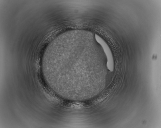 X0000096450599200802211236