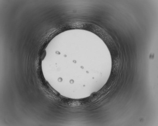 X0000096450600200802211236