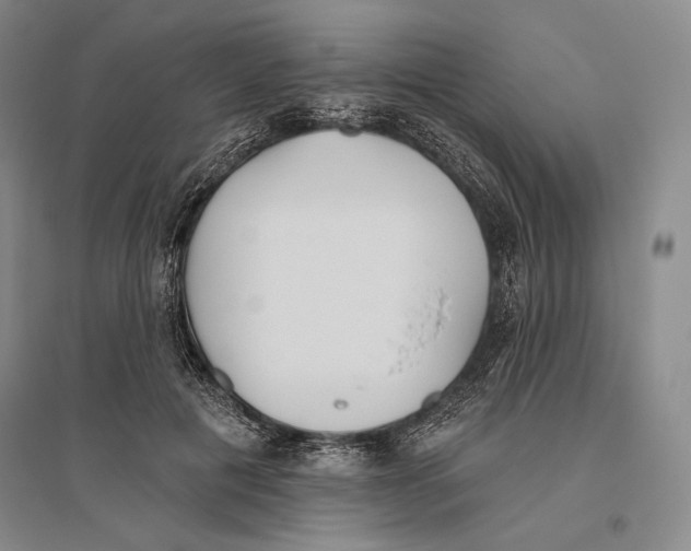 X0000096450601200802211236