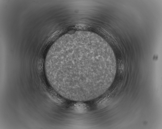 X0000096450603200802211236