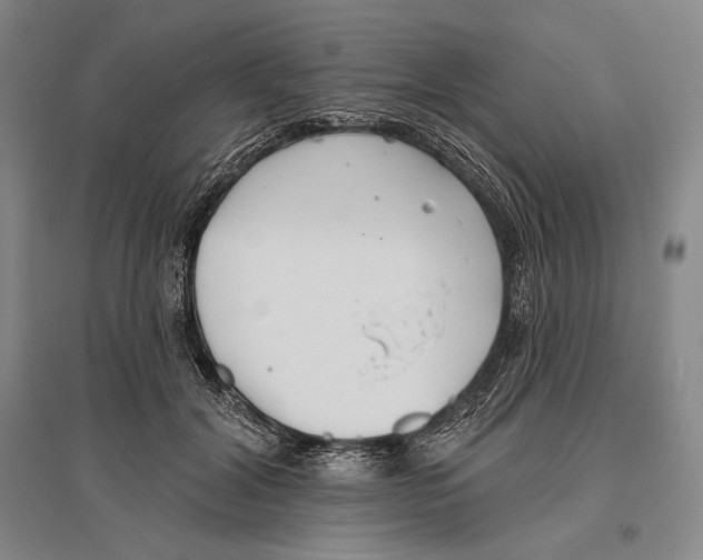 X0000096450604200802211236