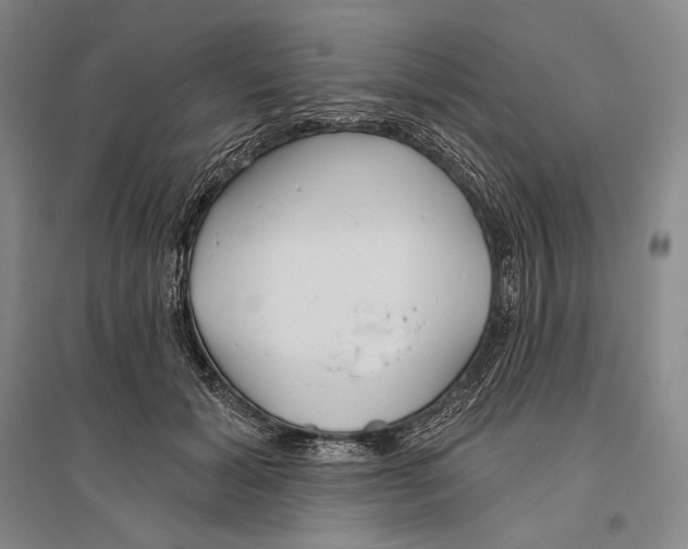 X0000096450605200802211236