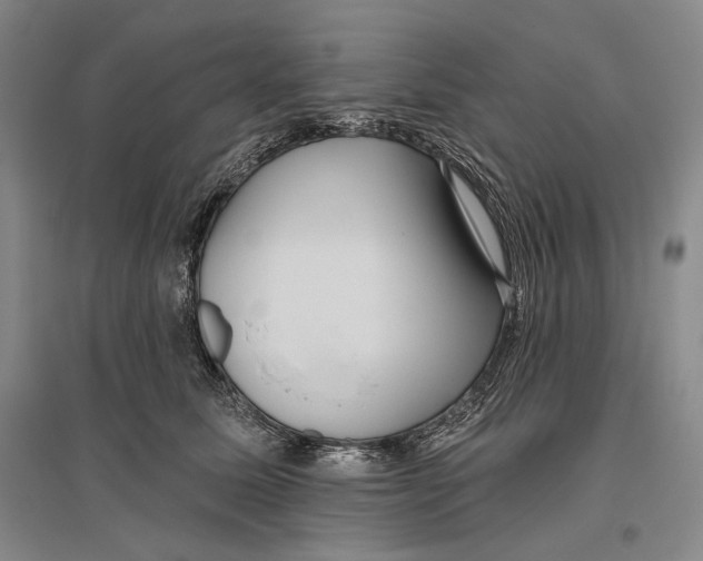 X0000096450611200802211235