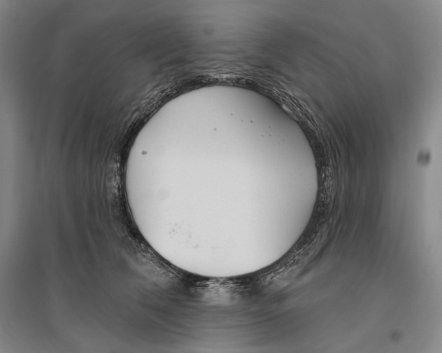 X0000096450612200802211235