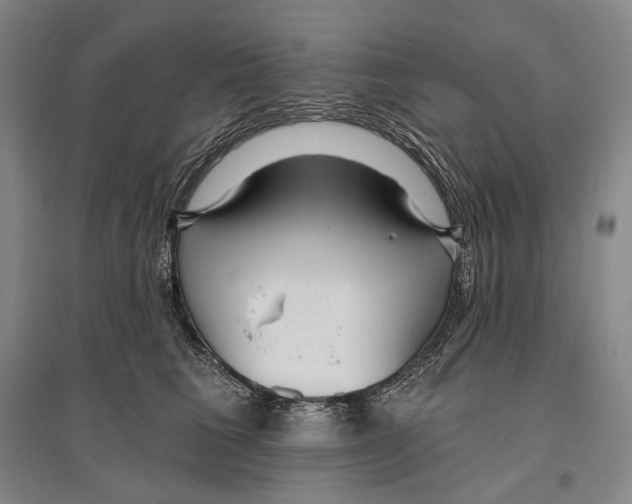 X0000096450613200802211235