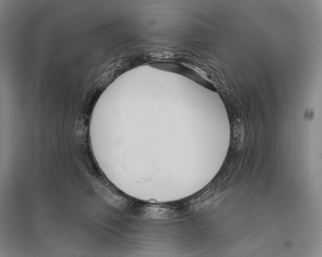 X0000096450614200802211235