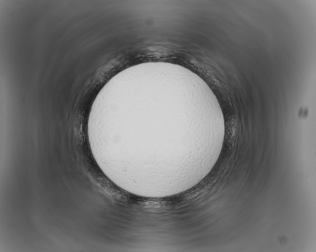 X0000096450615200802211235