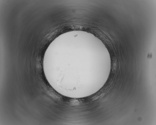 X0000096450616200802211235