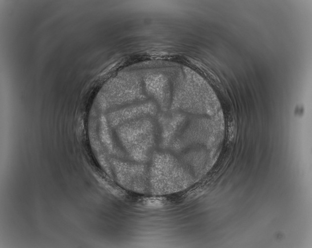 X0000096450618200802211235