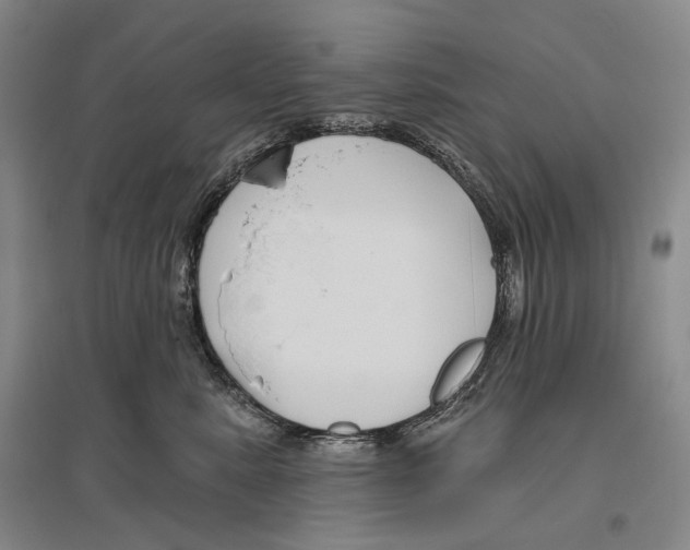 X0000096450619200802211235