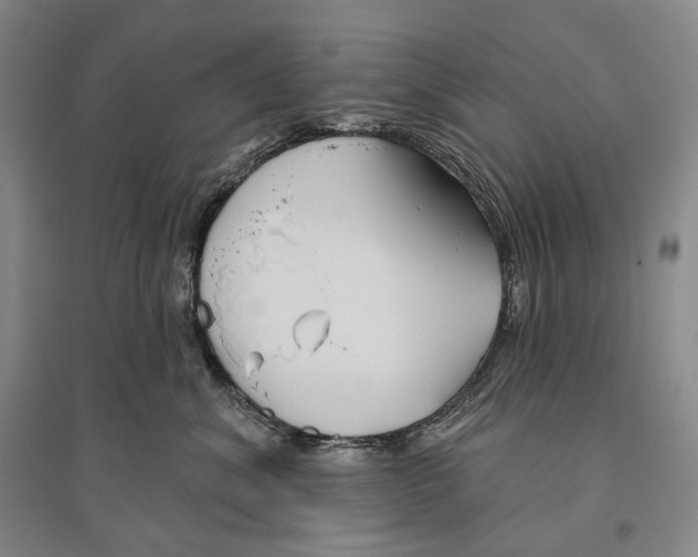 X0000096450620200802211235