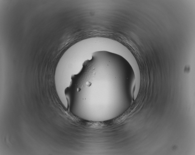 X0000096450621200802211235