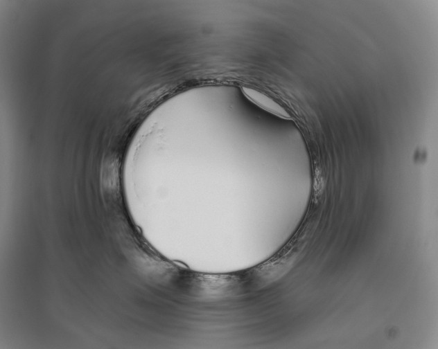 X0000096450623200802211235