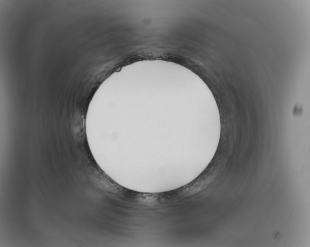 X0000096450624200802211235