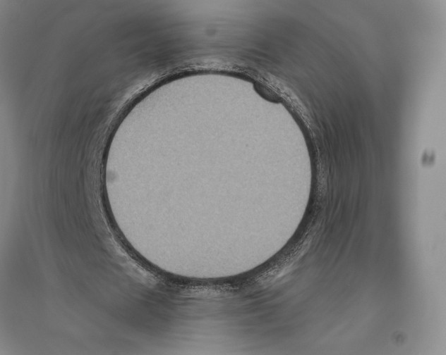 X0000096450625200802211235