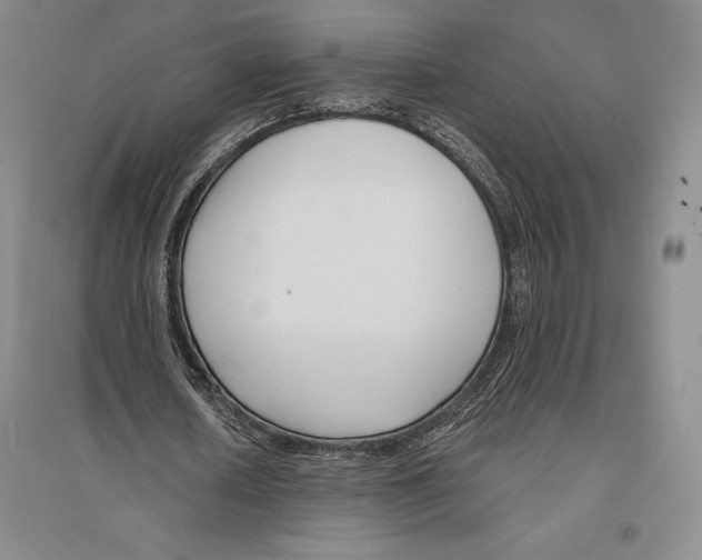 X0000096450626200802211235