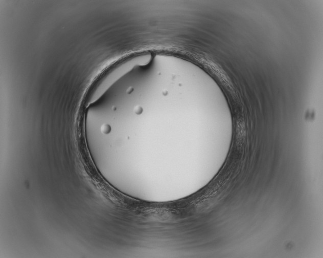 X0000096450628200802211235