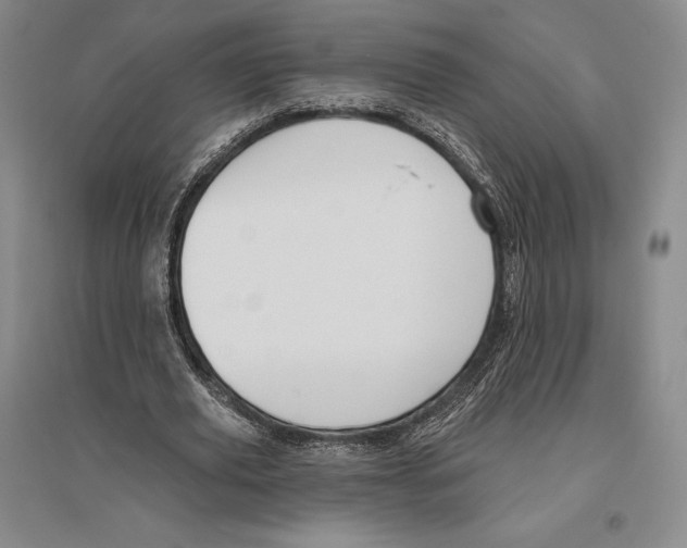 X0000096450629200802211235