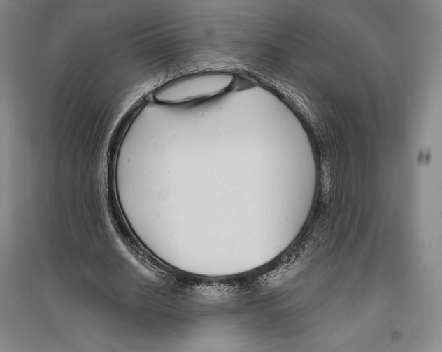 X0000096450630200802211235