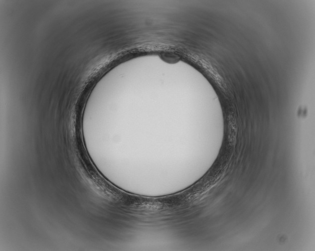 X0000096450631200802211235