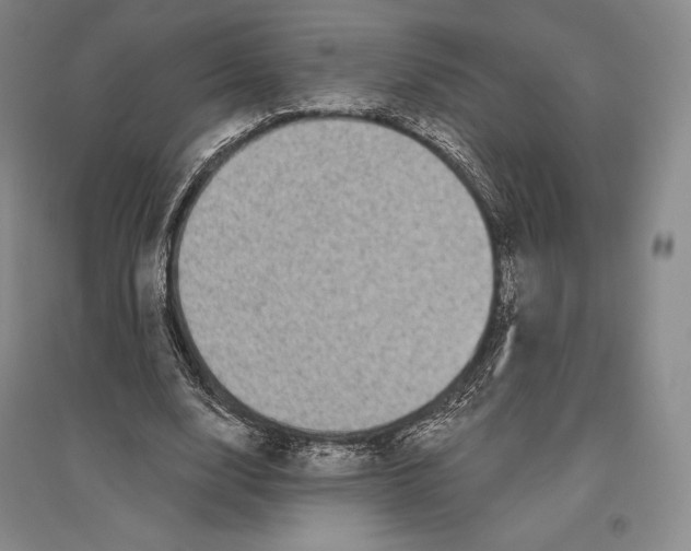 X0000096450632200802211235