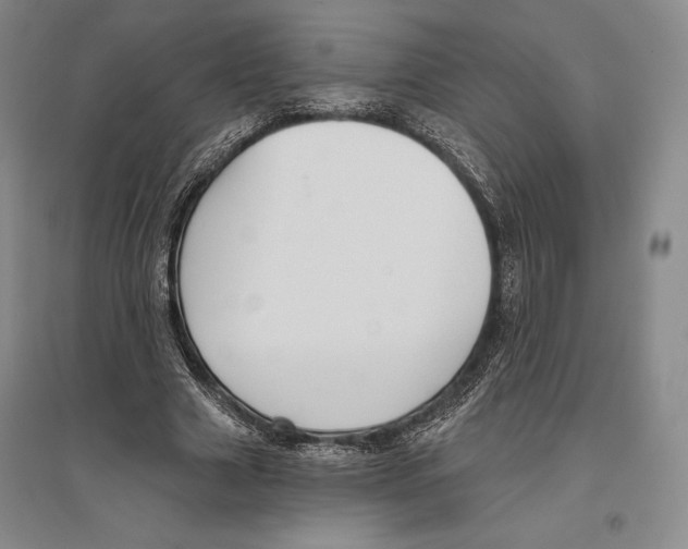 X0000096450633200802211235