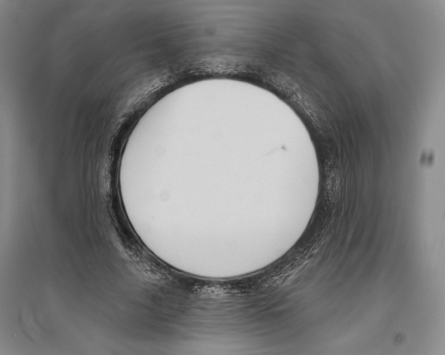 X0000096450635200802211235