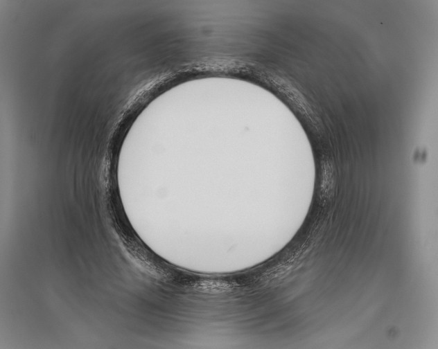 X0000096450636200802211235