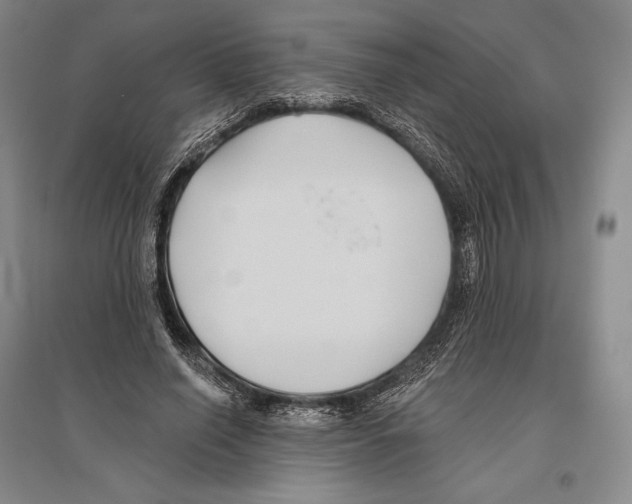 X0000096450638200802211235