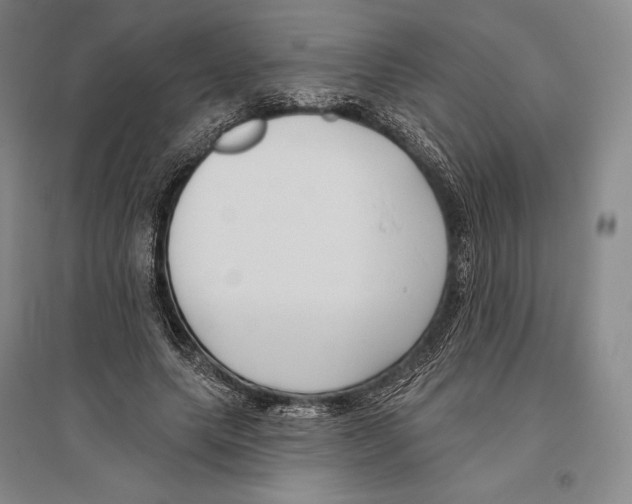 X0000096450639200802211235