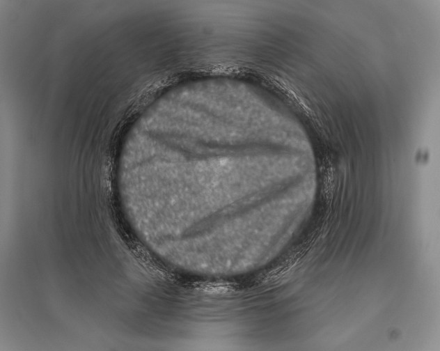 X0000096450643200802211235