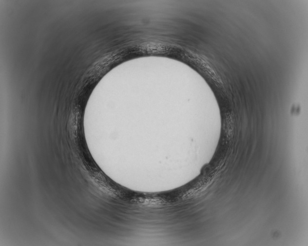 X0000096450645200802211235