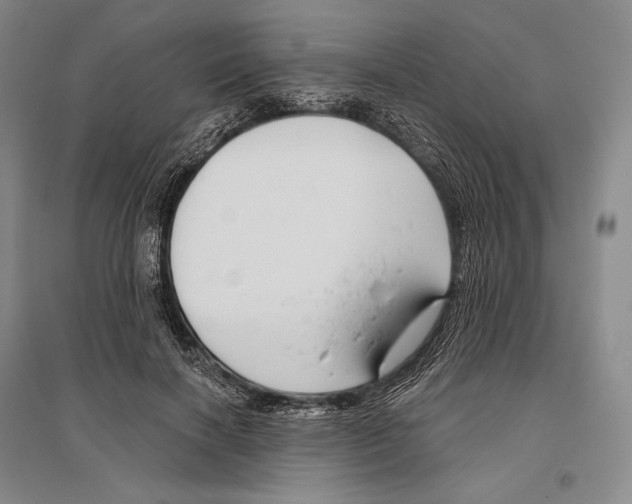 X0000096450646200802211235