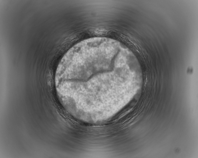 X0000096450651200802211235