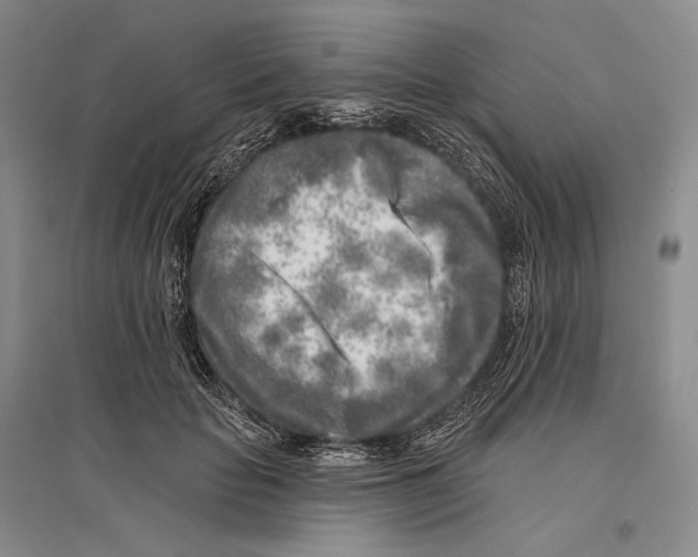 X0000096450653200802211235